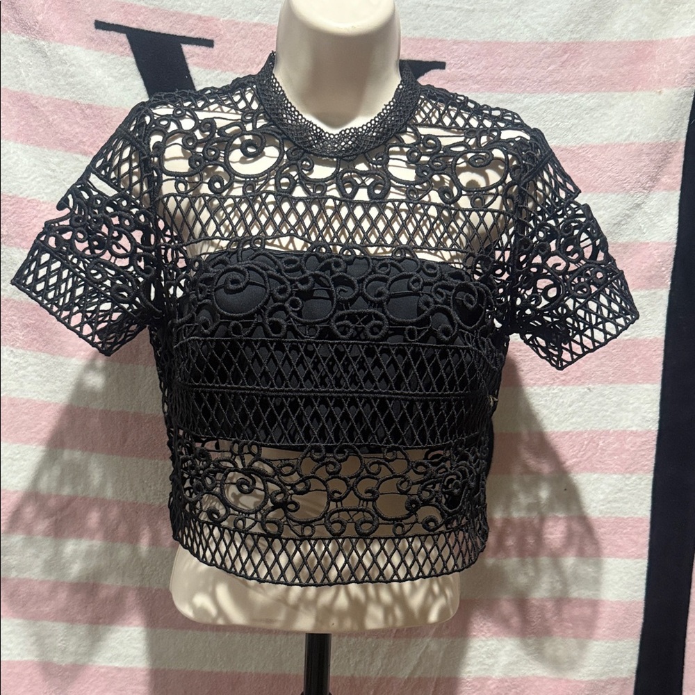 Express Black Lace Crop Top